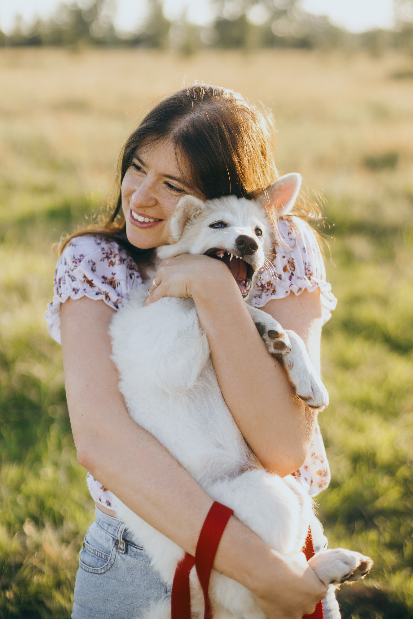 stylish-young-woman-hugging-cute-white-puppy-in-warm-sunset-light-in-summer-meadow.jpg