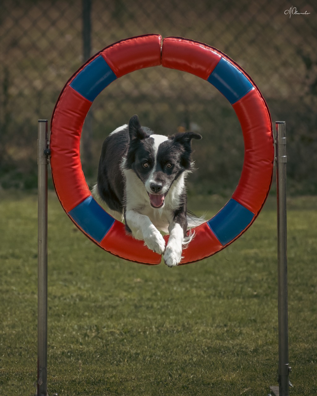 WhatsApp Image 2023-07-10 at 2.41.18 PM