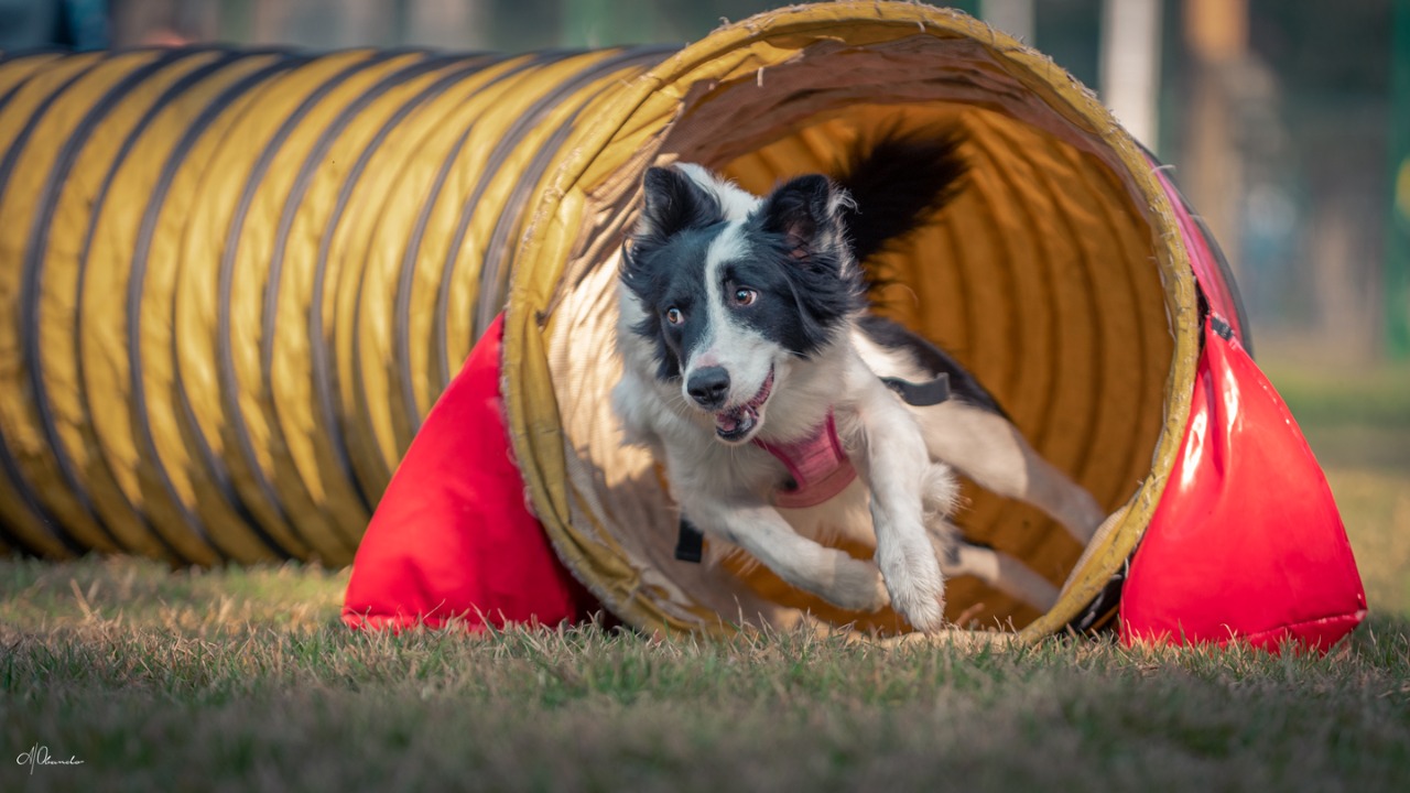 WhatsApp Image 2023-07-10 at 4.55.23 PM (1)