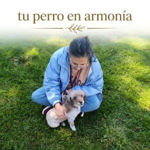 Tu Perro en Armonía