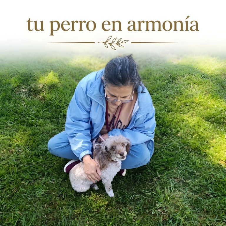 Tu Perro en Armonía